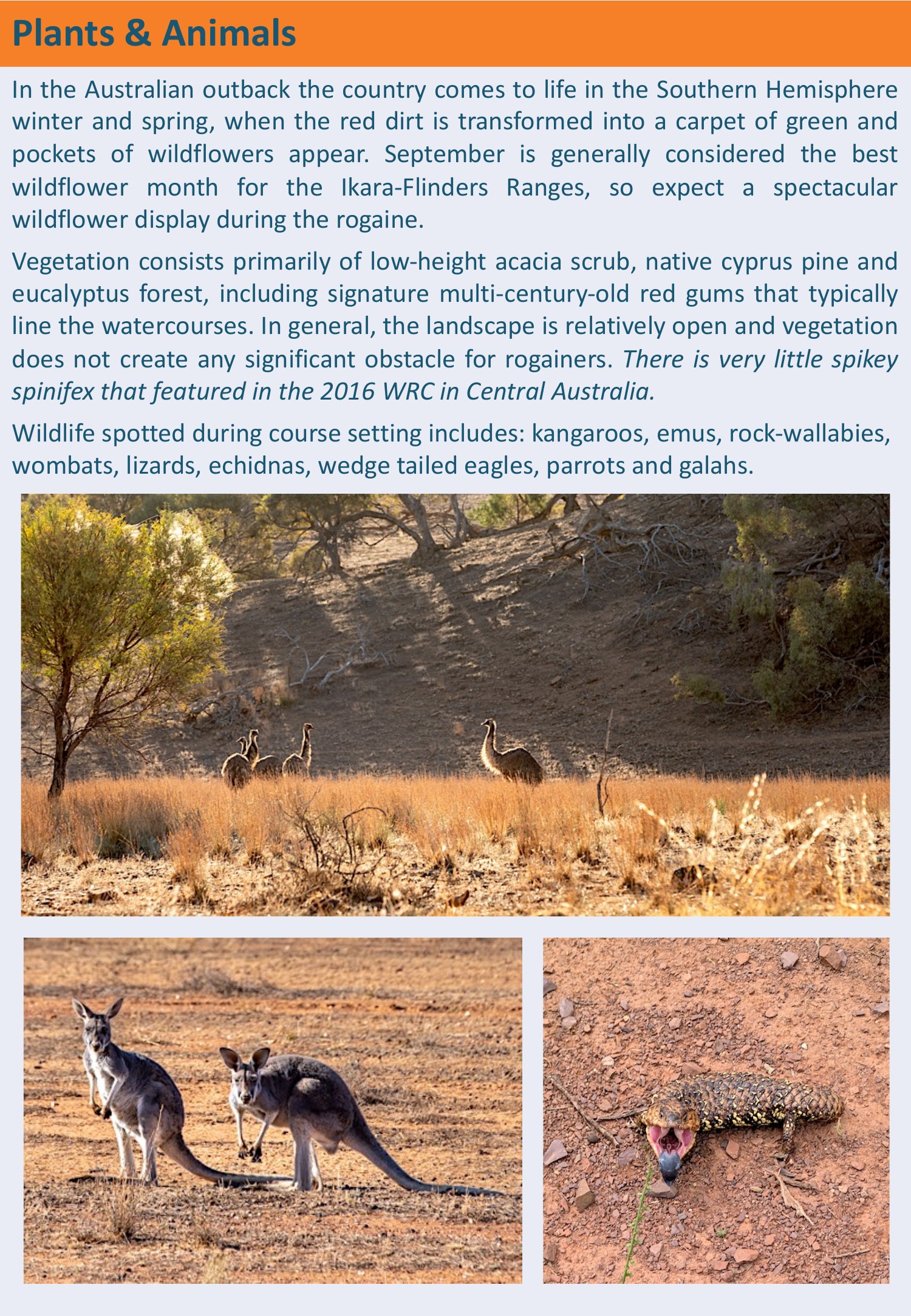 WRC2027 Bulletin 1 page 11